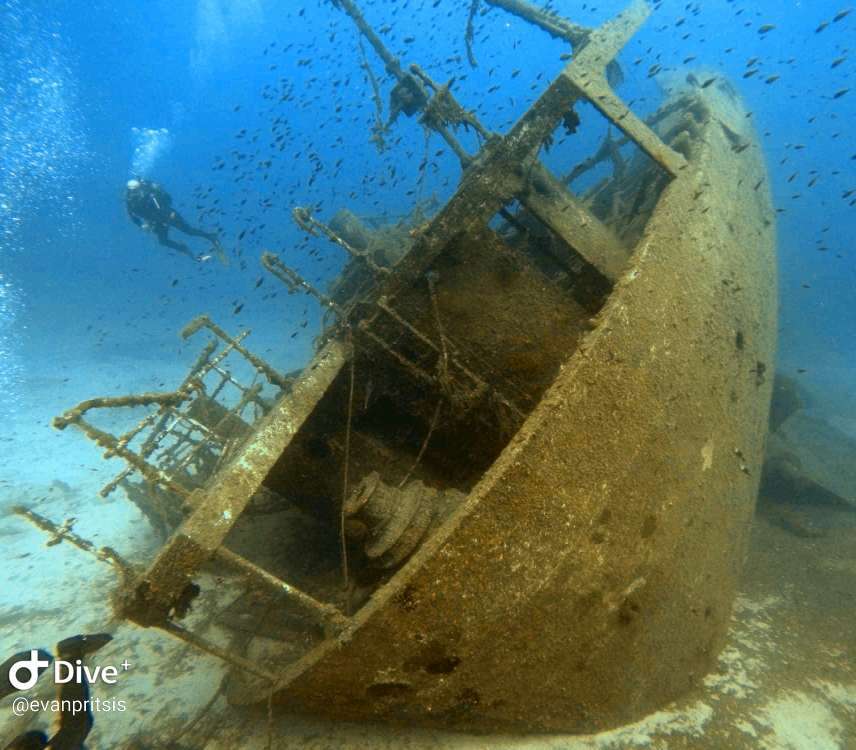 Dive+領(lǐng)路人的帖子