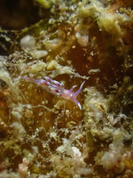 Dive+社區(qū)熱門(mén)帖子