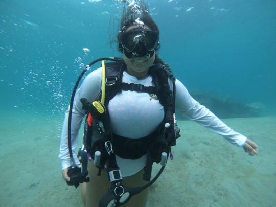 Dive+社區(qū)熱門作者