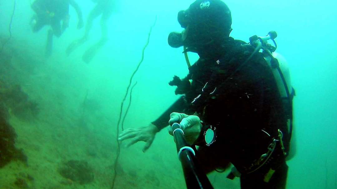 Dive+领路人的帖子