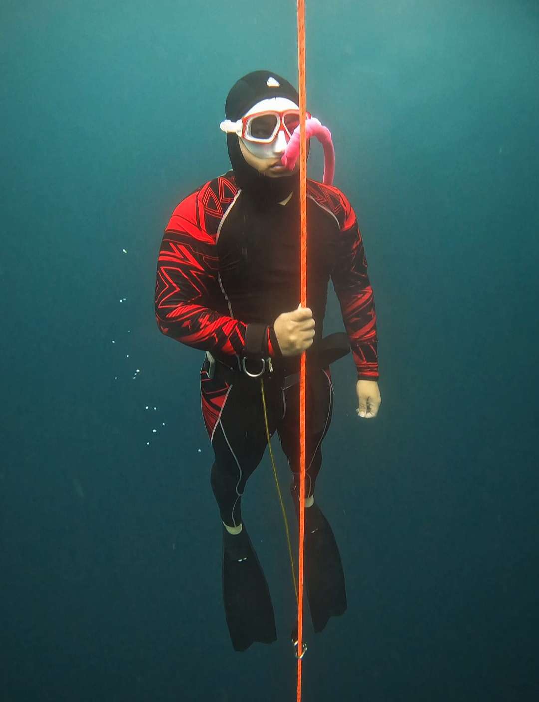 Dive+领路人的帖子