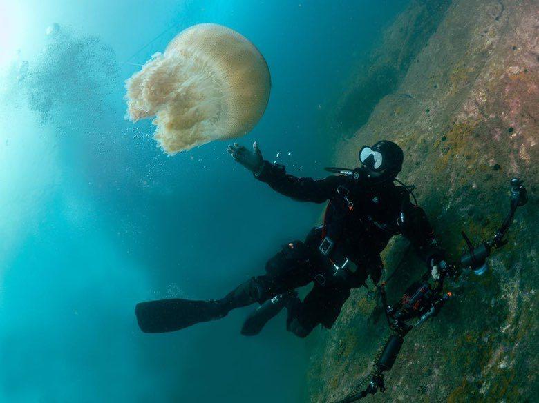 Dive+领路人的帖子