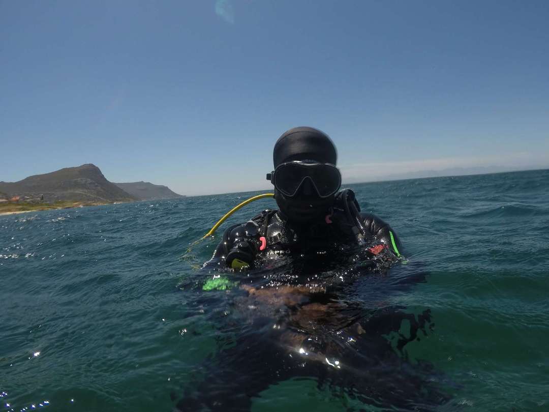 Dive+ Log Selection