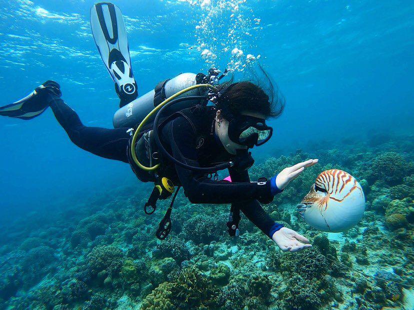 Dive+領路人的帖子