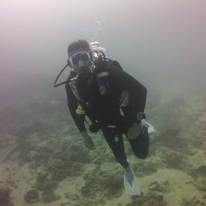 Dive+领路人的帖子