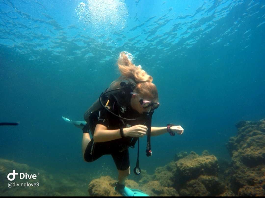 Dive+领路人的帖子