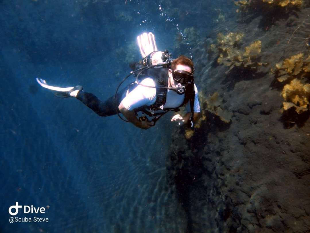 Dive+领路人的帖子