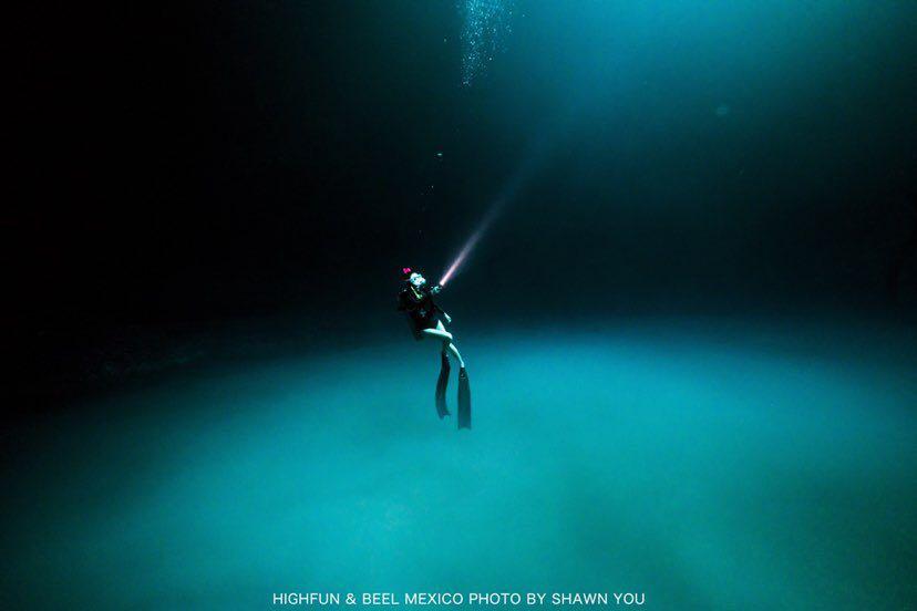 Dive+领路人的帖子