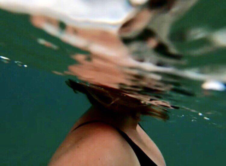 Dive+领路人的帖子
