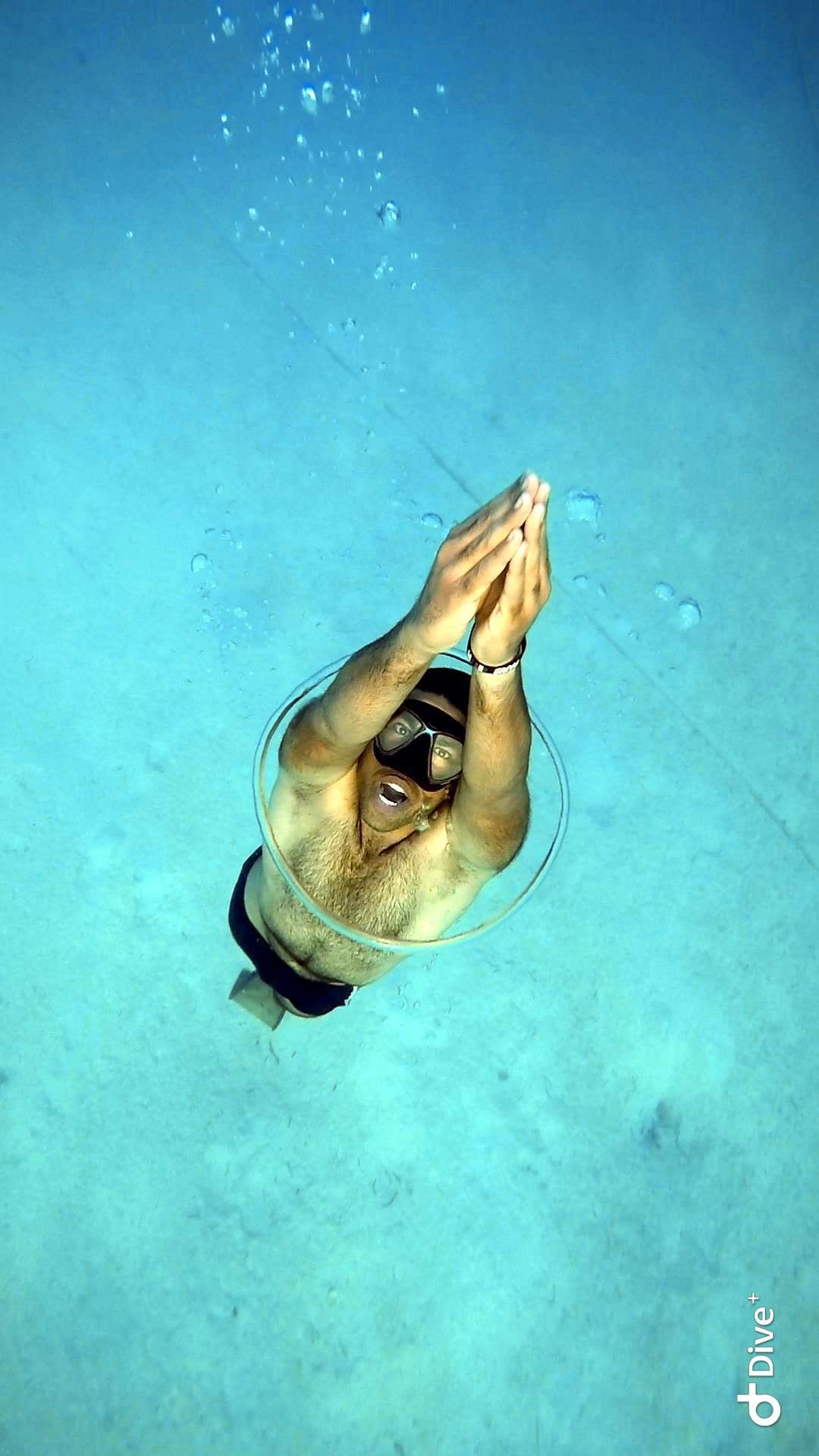 Dive+領(lǐng)路人的帖子