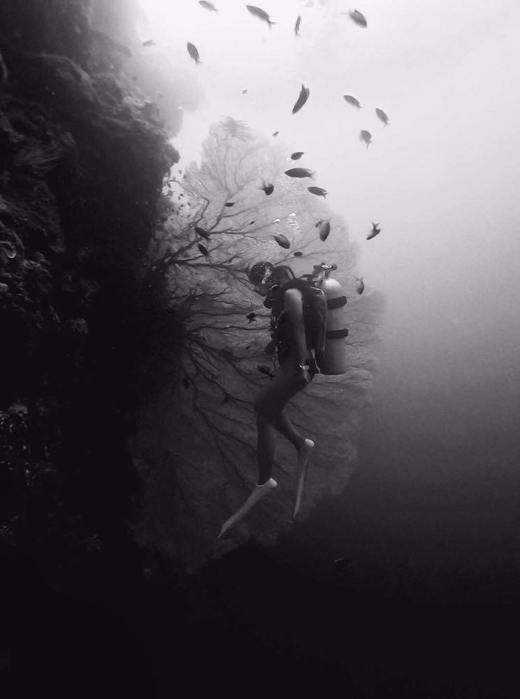 Dive+领路人的帖子