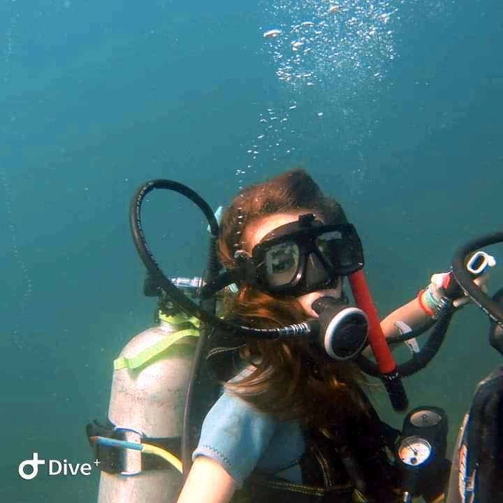 Dive+领路人的帖子
