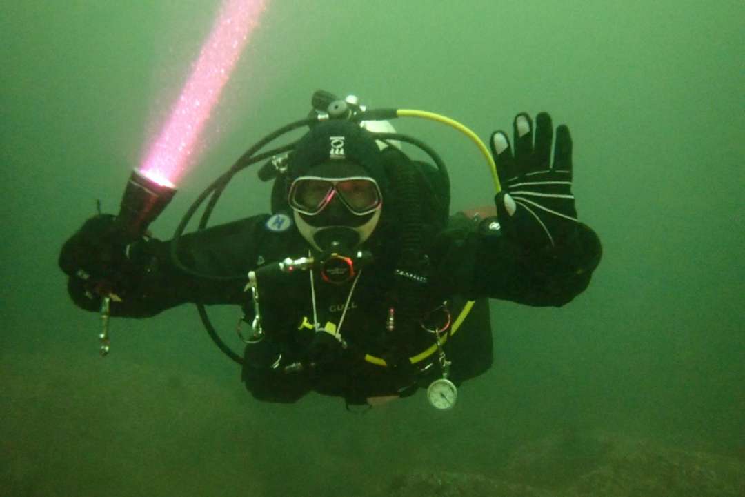 Dive+领路人的帖子