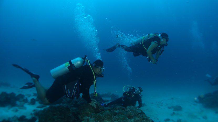 Dive+领路人的帖子
