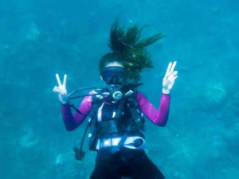 Dive+领路人的帖子