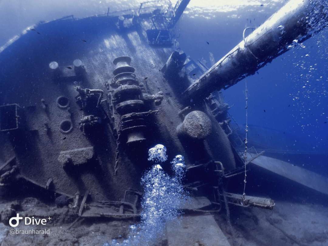 Dive+领路人的帖子