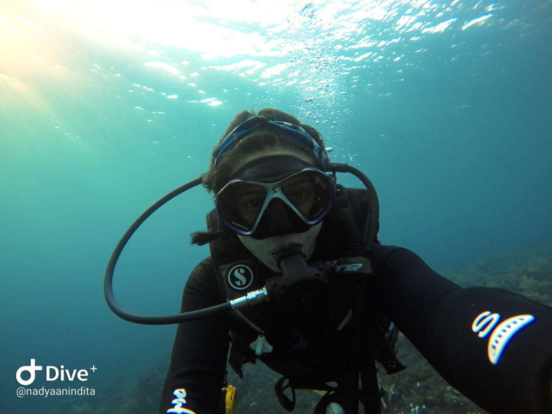 Dive+领路人的帖子