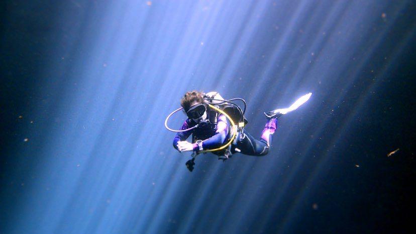 Dive+领路人的帖子