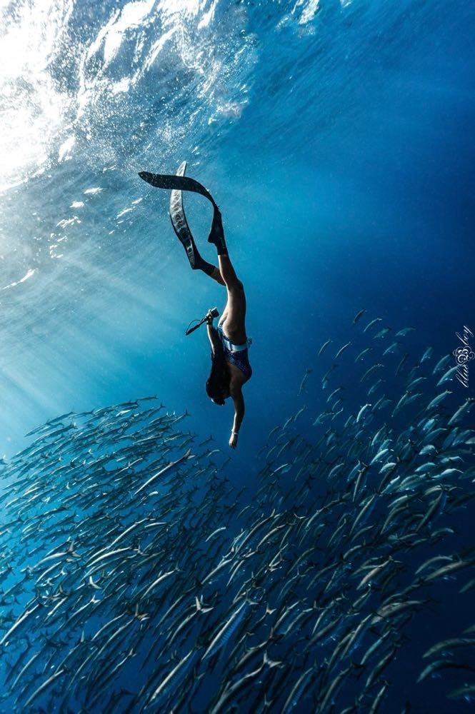 Dive+領路人的帖子