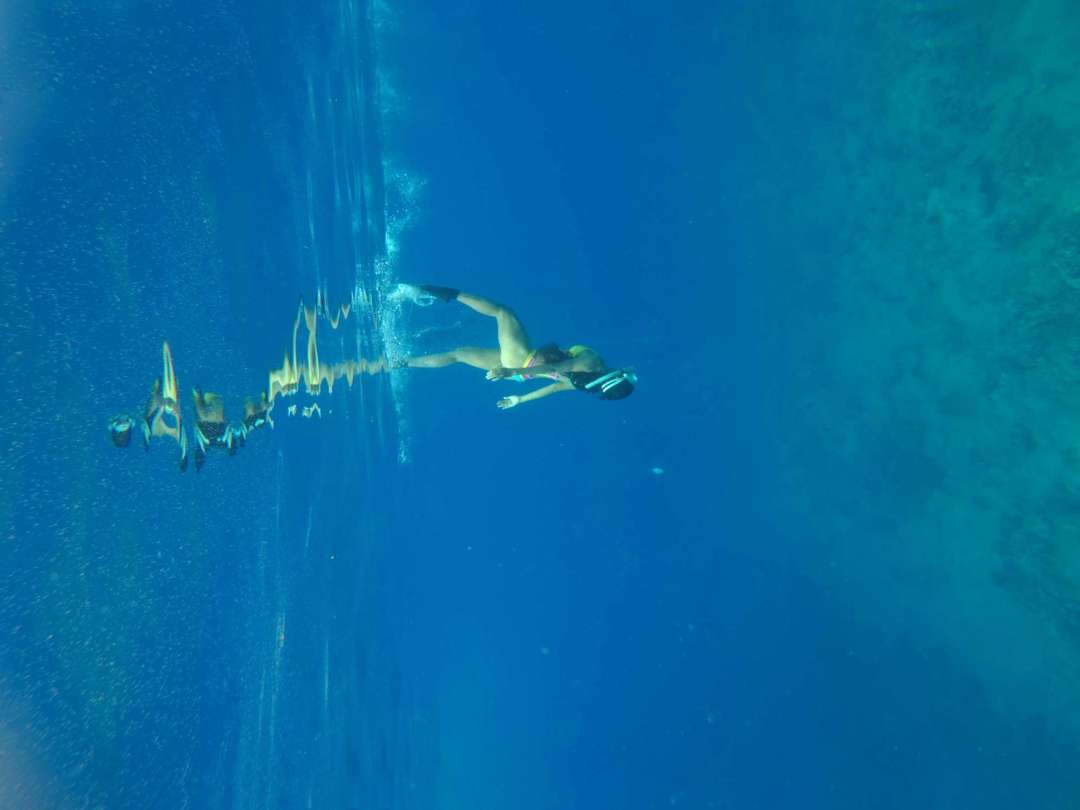 Dive+领路人的帖子