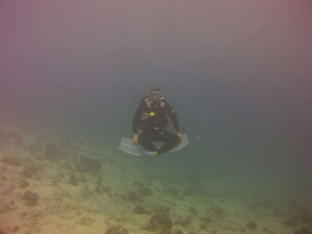 Dive+领路人的帖子