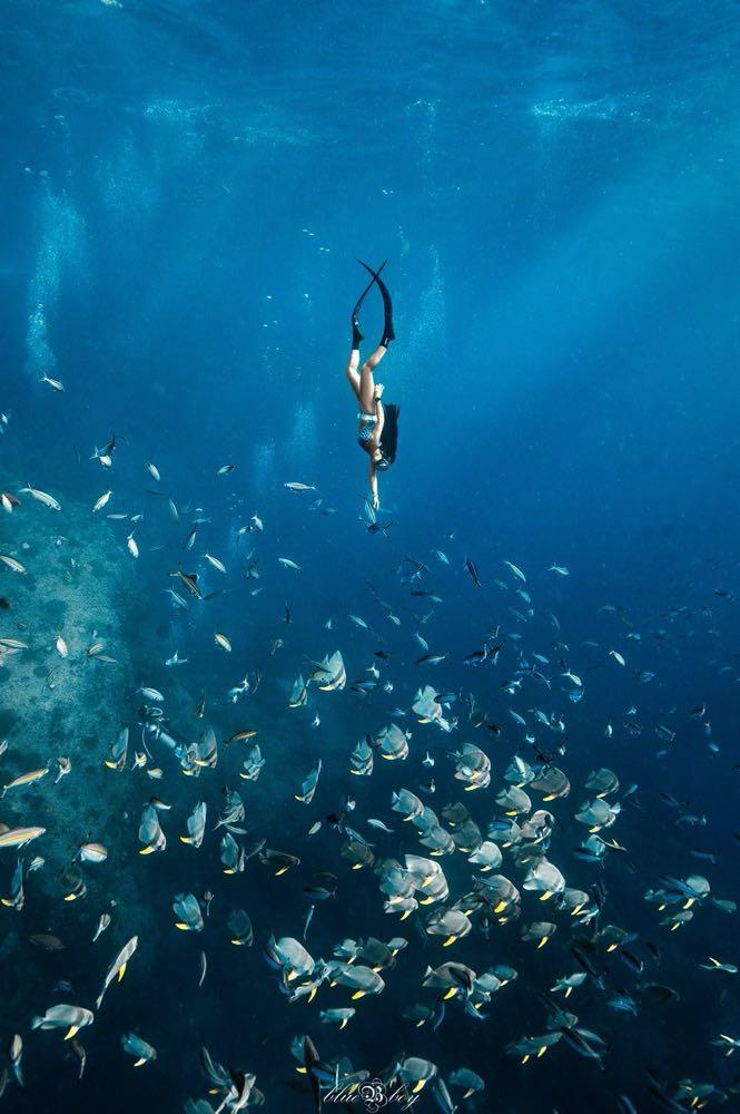 Dive+領路人的帖子