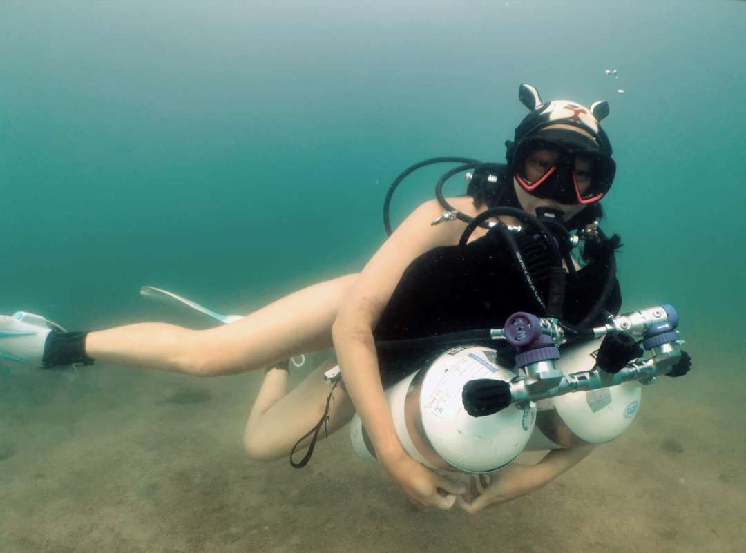 Dive+领路人的帖子