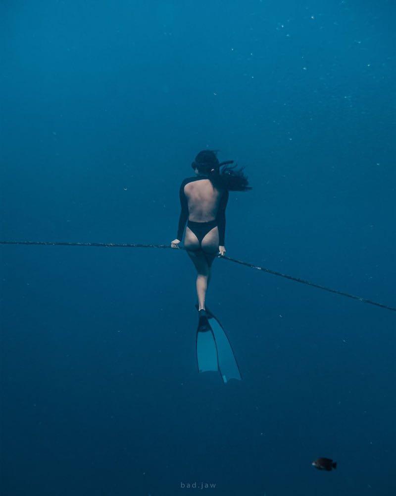 Dive+领路人的帖子