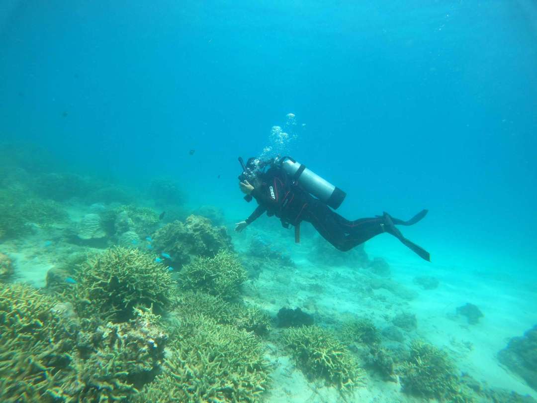 Dive+领路人的帖子