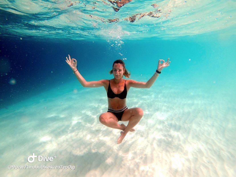 Dive+领路人的帖子