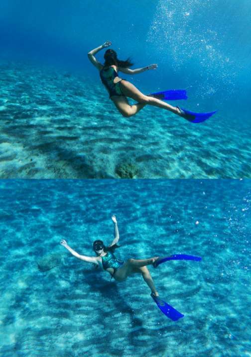 Dive+领路人的帖子