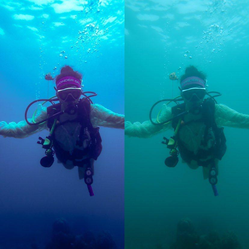 Dive+ Post Selection