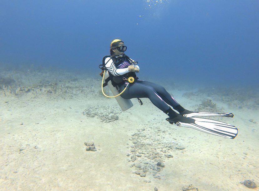 Dive+领路人的帖子