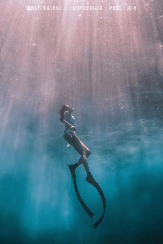 Dive+領路人的帖子