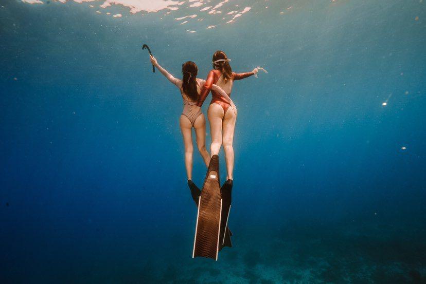 Dive+领路人的帖子