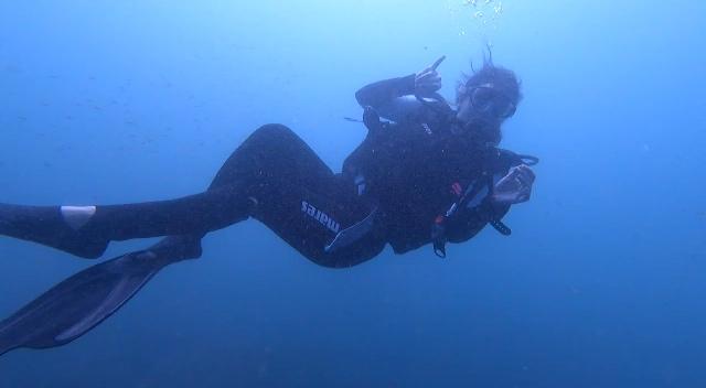 Dive+领路人的帖子