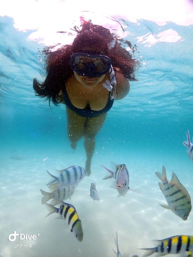Dive+领路人的帖子