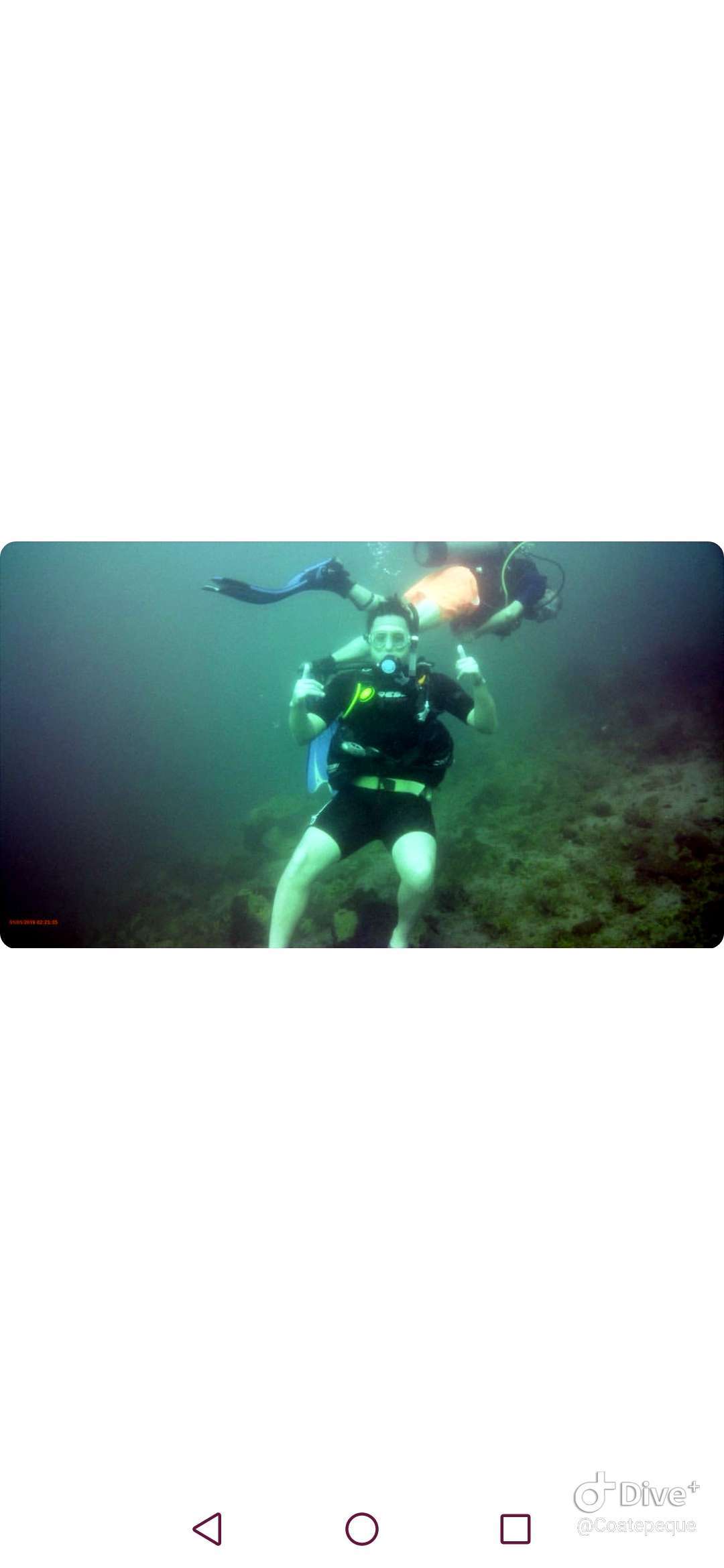 Dive+领路人的帖子