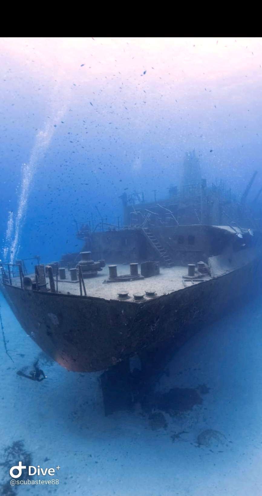 Dive+领路人的帖子