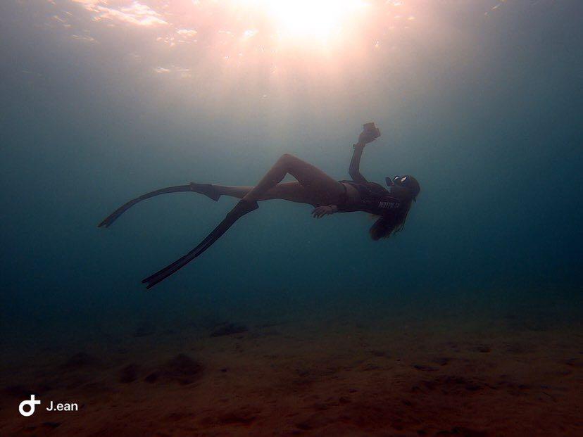 Dive+领路人的帖子