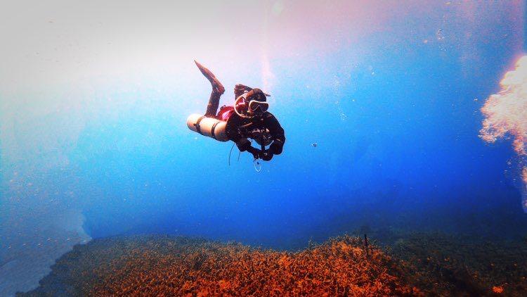Dive+领路人的帖子