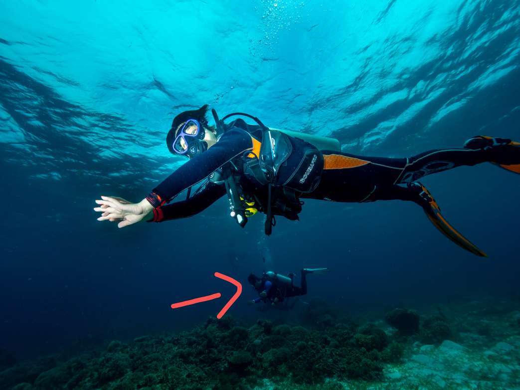 Dive+领路人的帖子