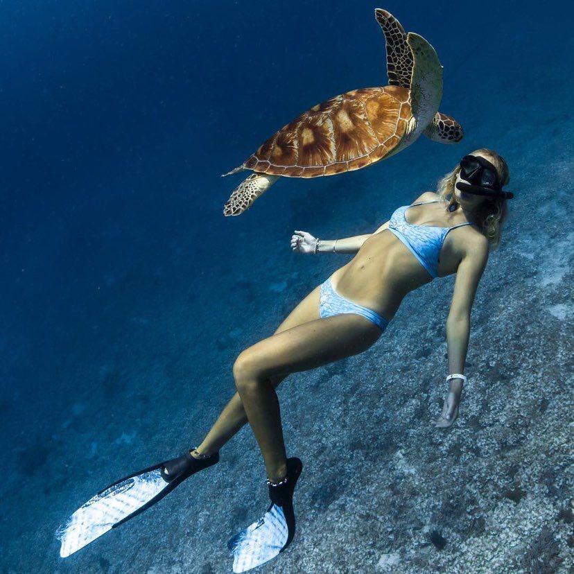 Dive+领路人的帖子