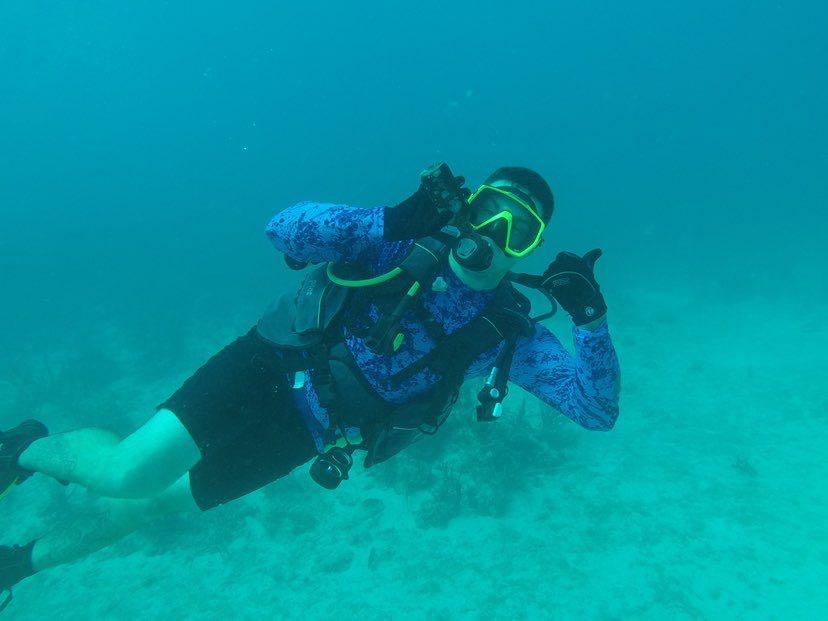 Dive+领路人的帖子