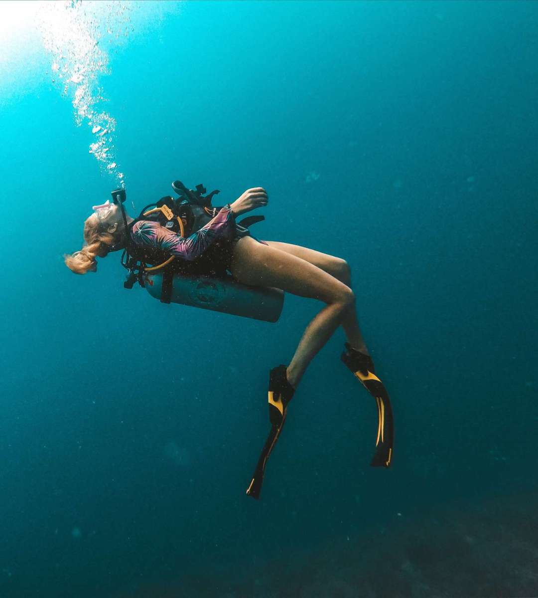 Dive+领路人的帖子