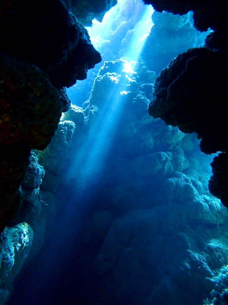 Dive+ Post Selection