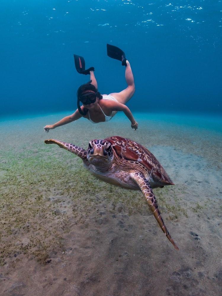 Dive+領路人的帖子