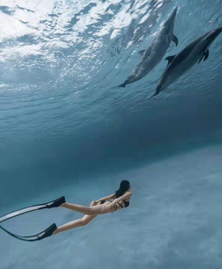 Dive+领路人的帖子