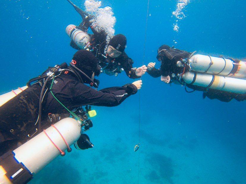 Dive+領路人的帖子
