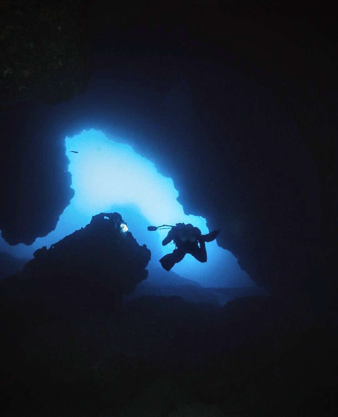 Dive+领路人的帖子